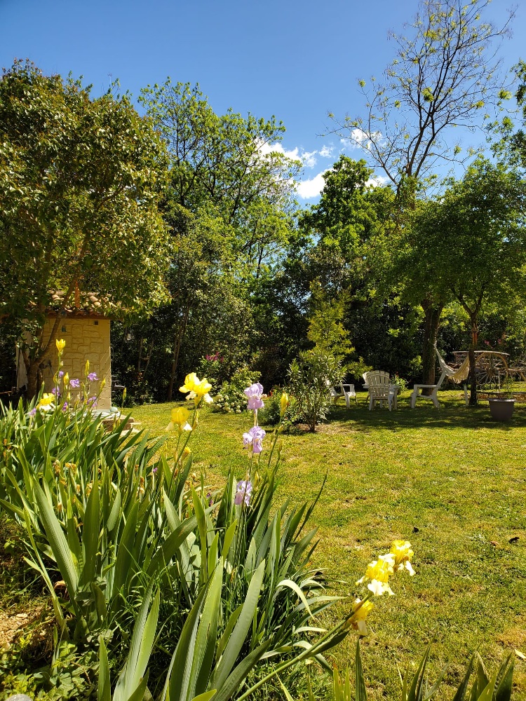 Aire camping-car � Saint-Martin-de-Valgalgues (30520) - Photo 4